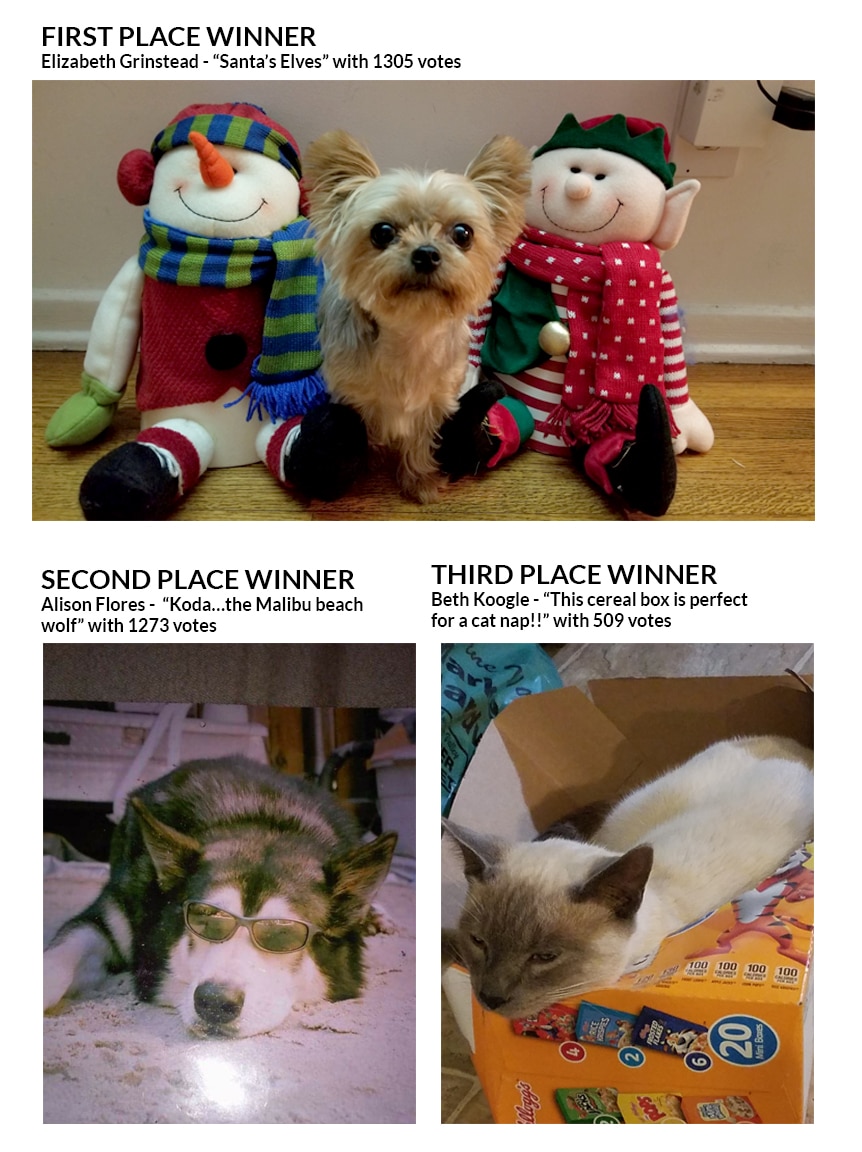 winners winners